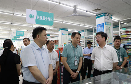 国家、自治区医保局领导到广西桂中大药房调研
